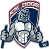 Sydney Ice Dogs