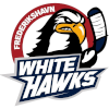 Frederikshavn White Hawks