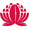 New South Wales Waratahs